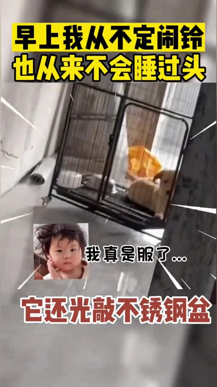 早上我从来不定闹钟也从来不会睡过头！
