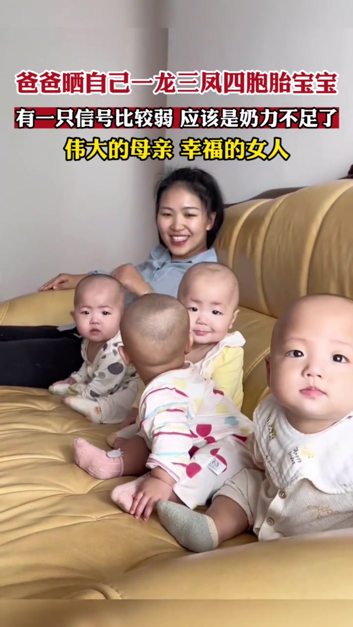 太幸福了！爸爸晒自己一龙三凤四胞胎宝宝！