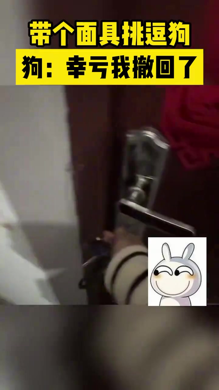 狗狗这个撤回有点搞笑啊！
