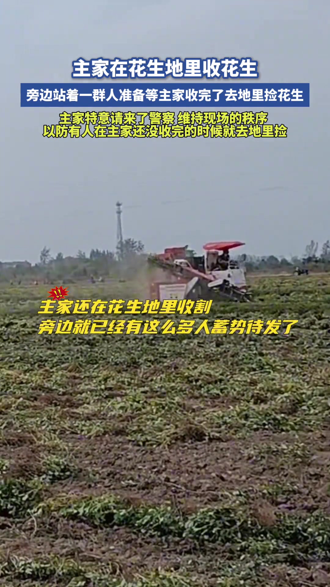 一群人在等待捡花生，无奈只能报警