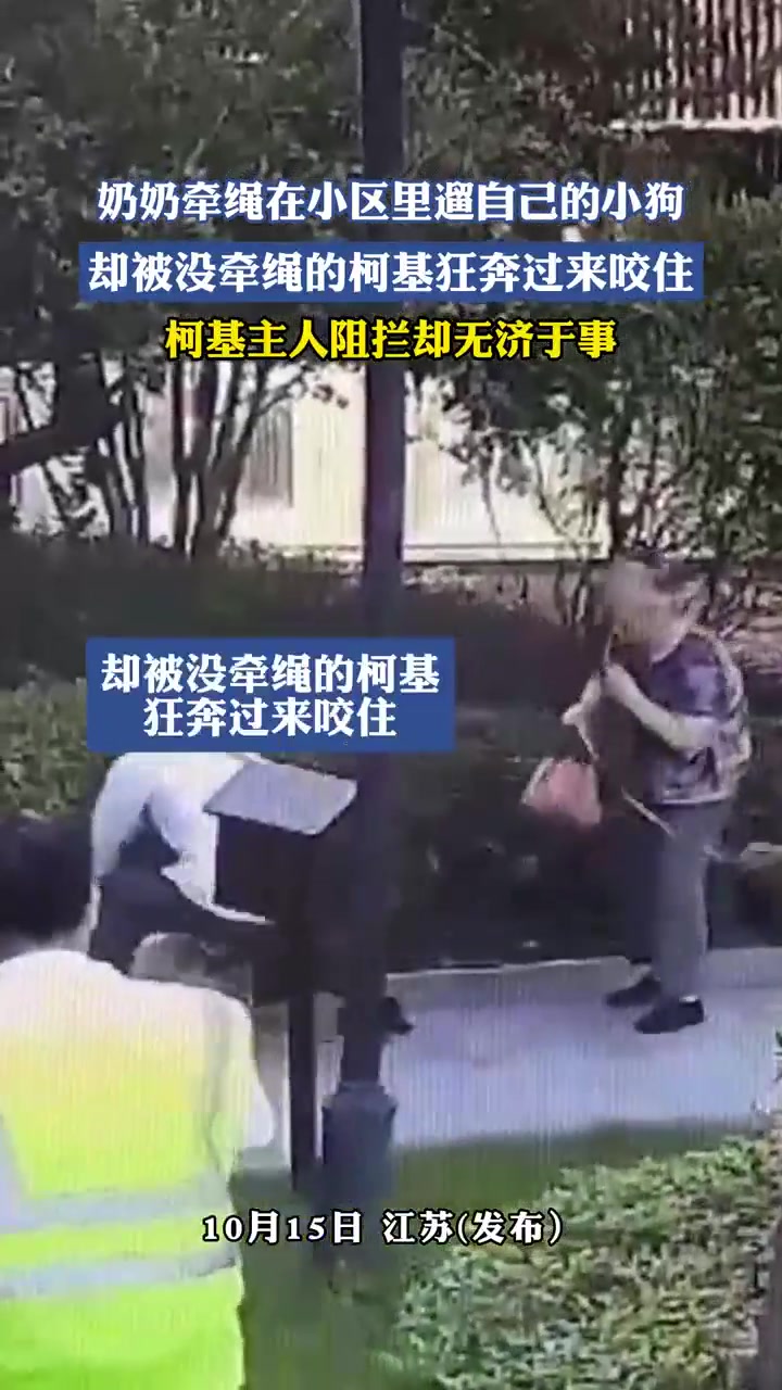 奶奶牵绳在小区里遛自己的小狗，却被没牵绳的柯基狂奔过来咬住