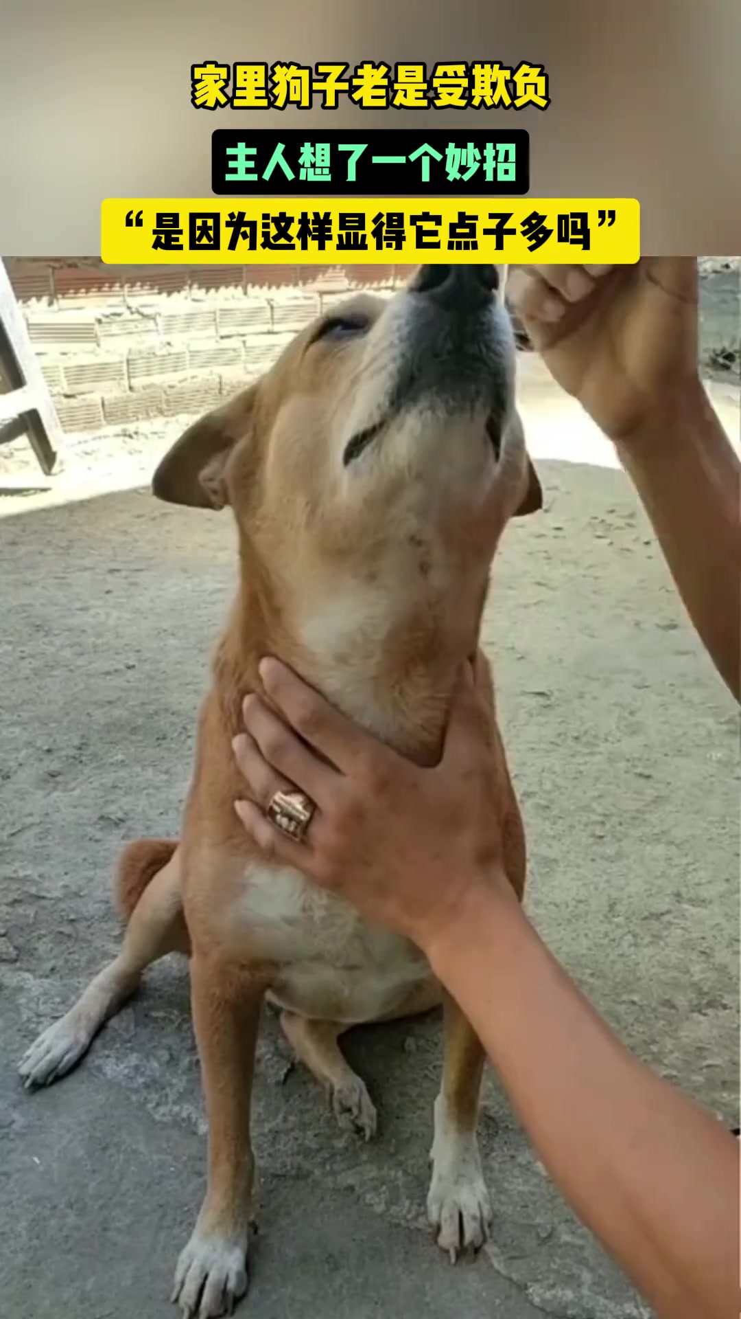 是因为这样显得它点子多吗