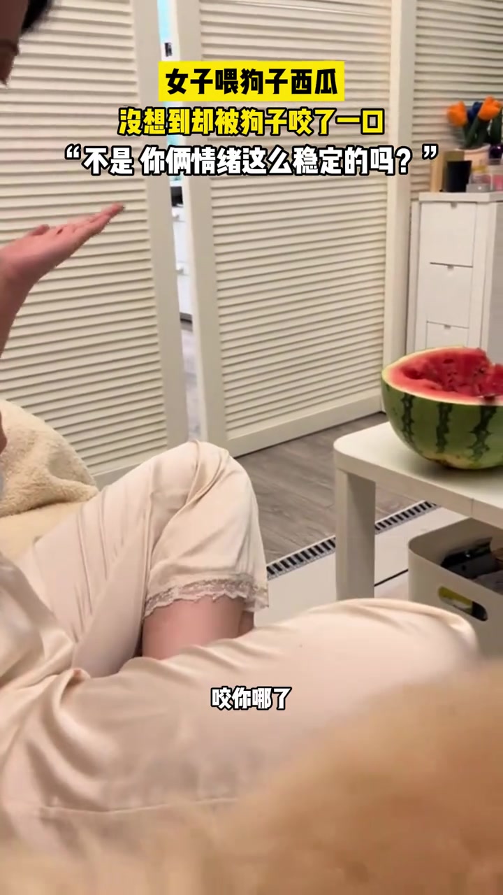 女子喂狗子西瓜，没想到却被狗子咬了一口，这该怎么办！