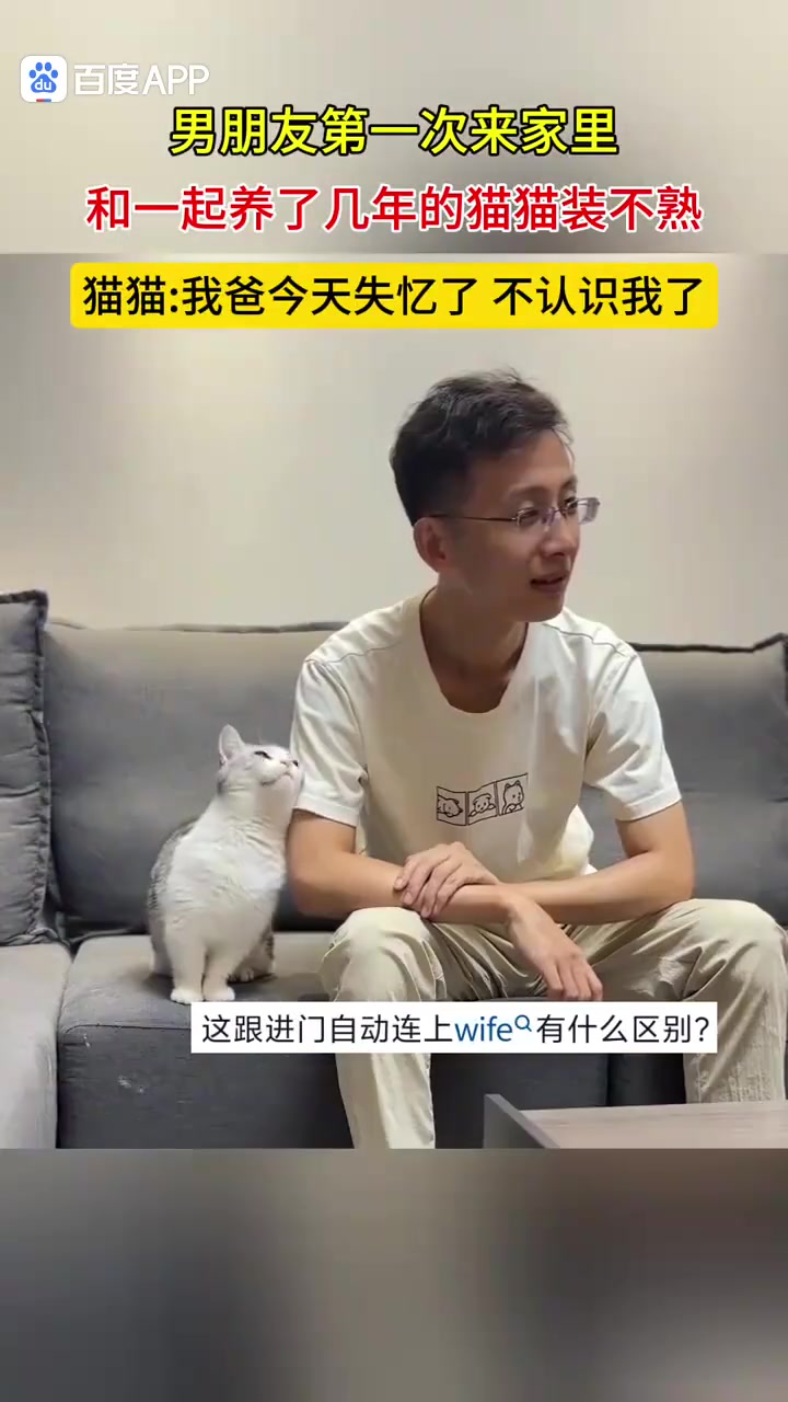 猫：你很会装奥