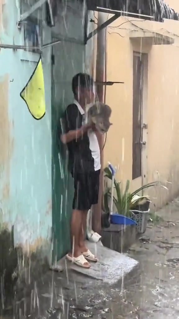 猫：人心太凉我不敢再碰