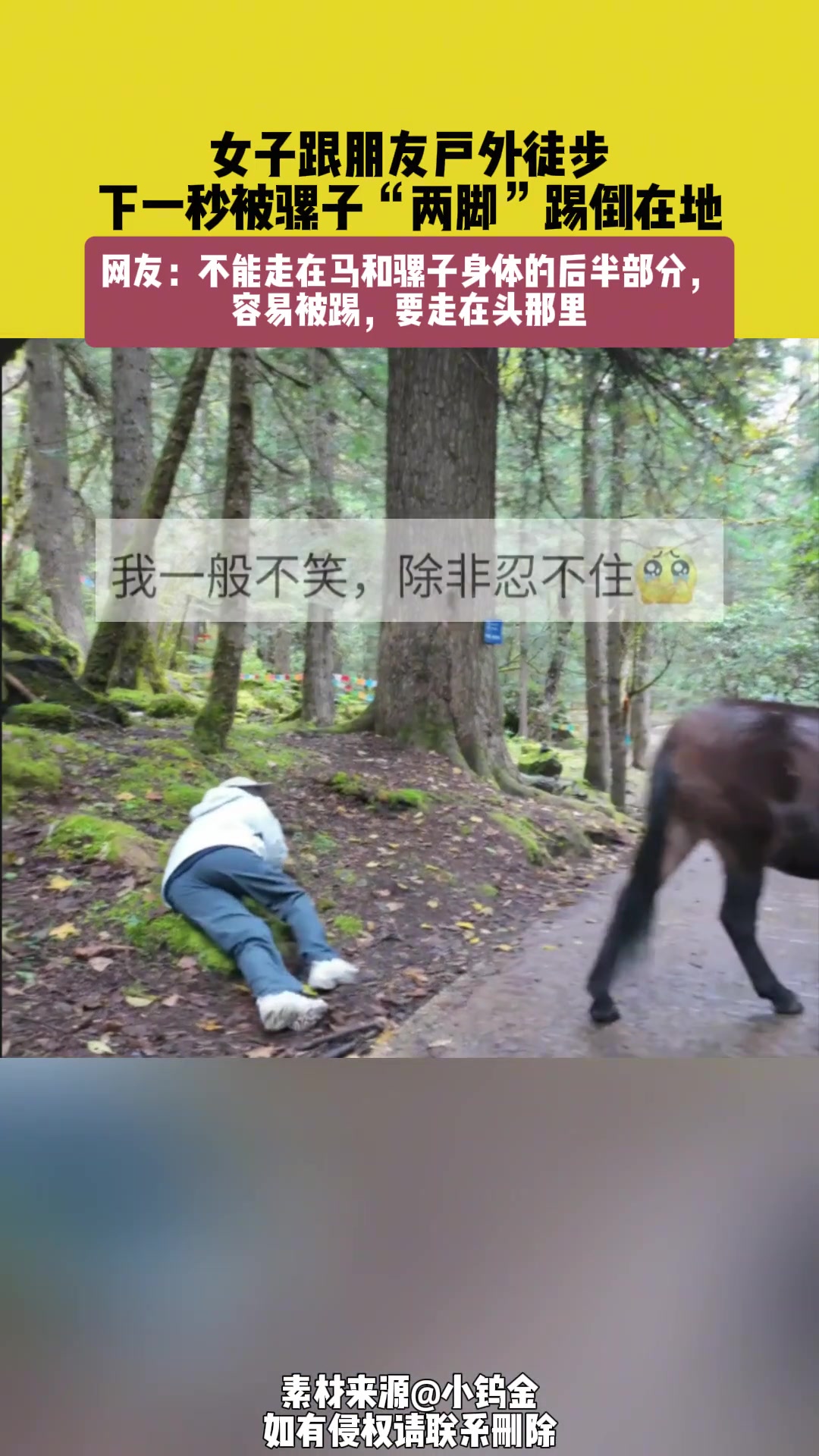 不能走在马和骡子身体的后半部分容易被踢....别问我怎么知道的！