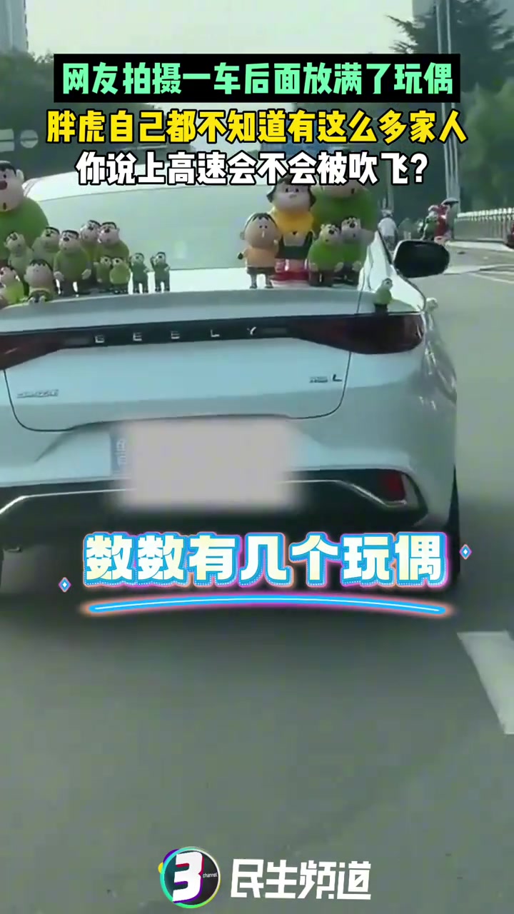 网友拍摄一车后面放满了玩偶，胖虎自己都不知道有这么多家人