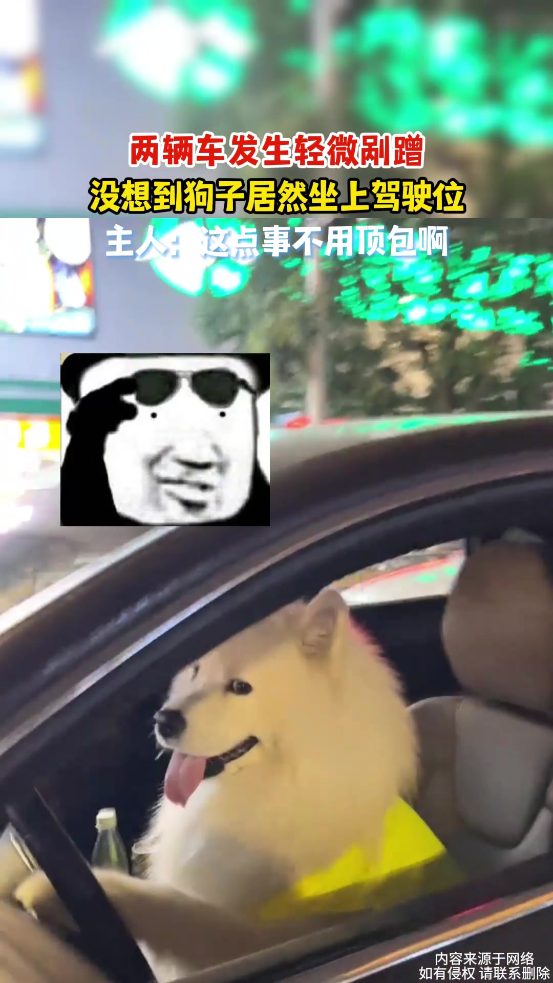 两辆车发生轻微剐蹭，车主下车检查没想到狗子坐上驾驶位
