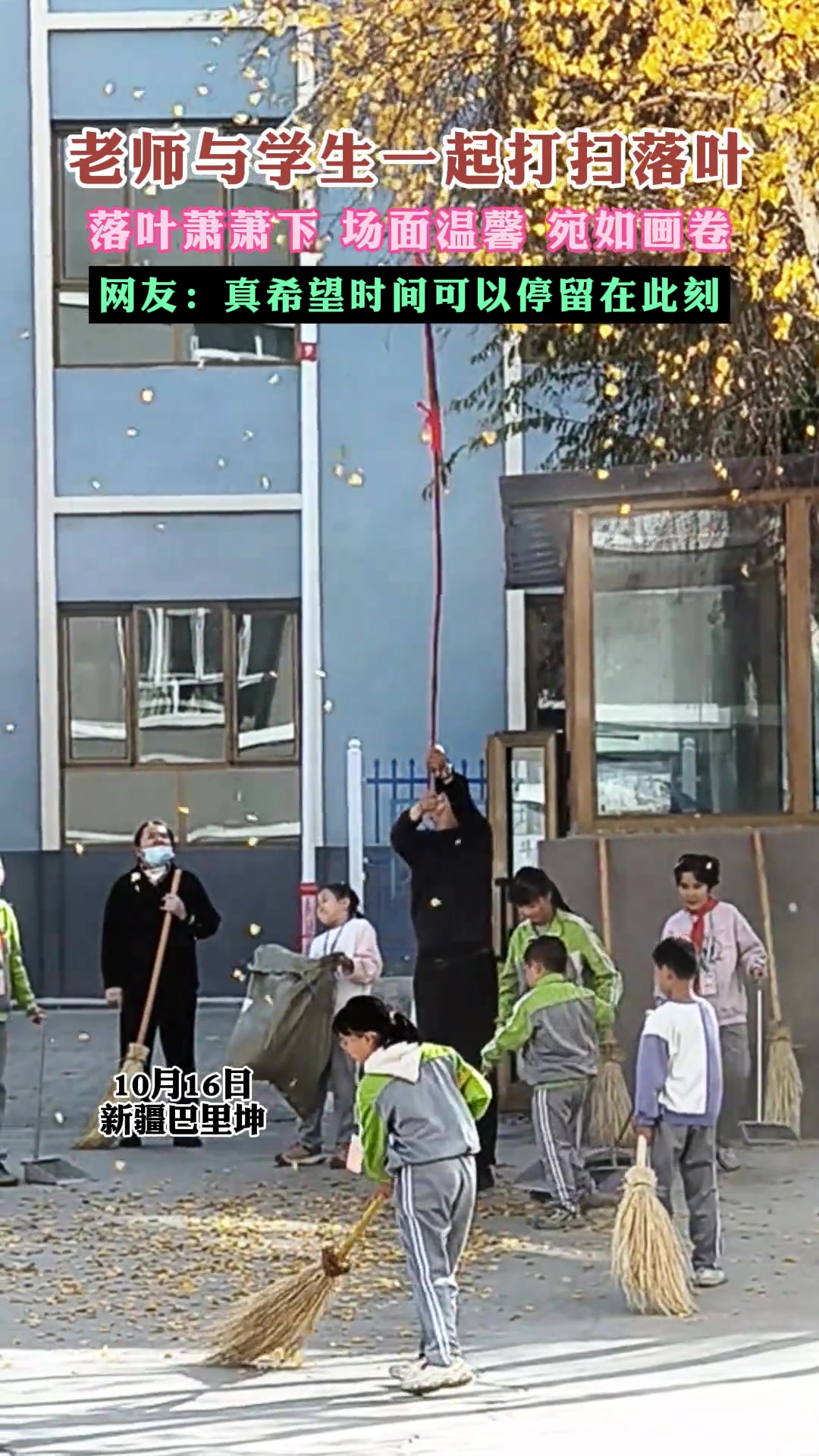 老师与学生一起打扫落叶，落叶萧萧下场面温馨宛如画卷