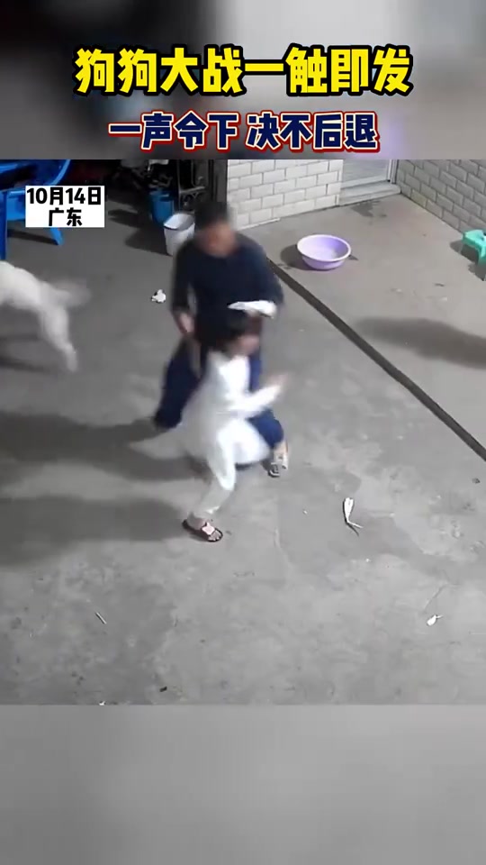 你这导火索点的好