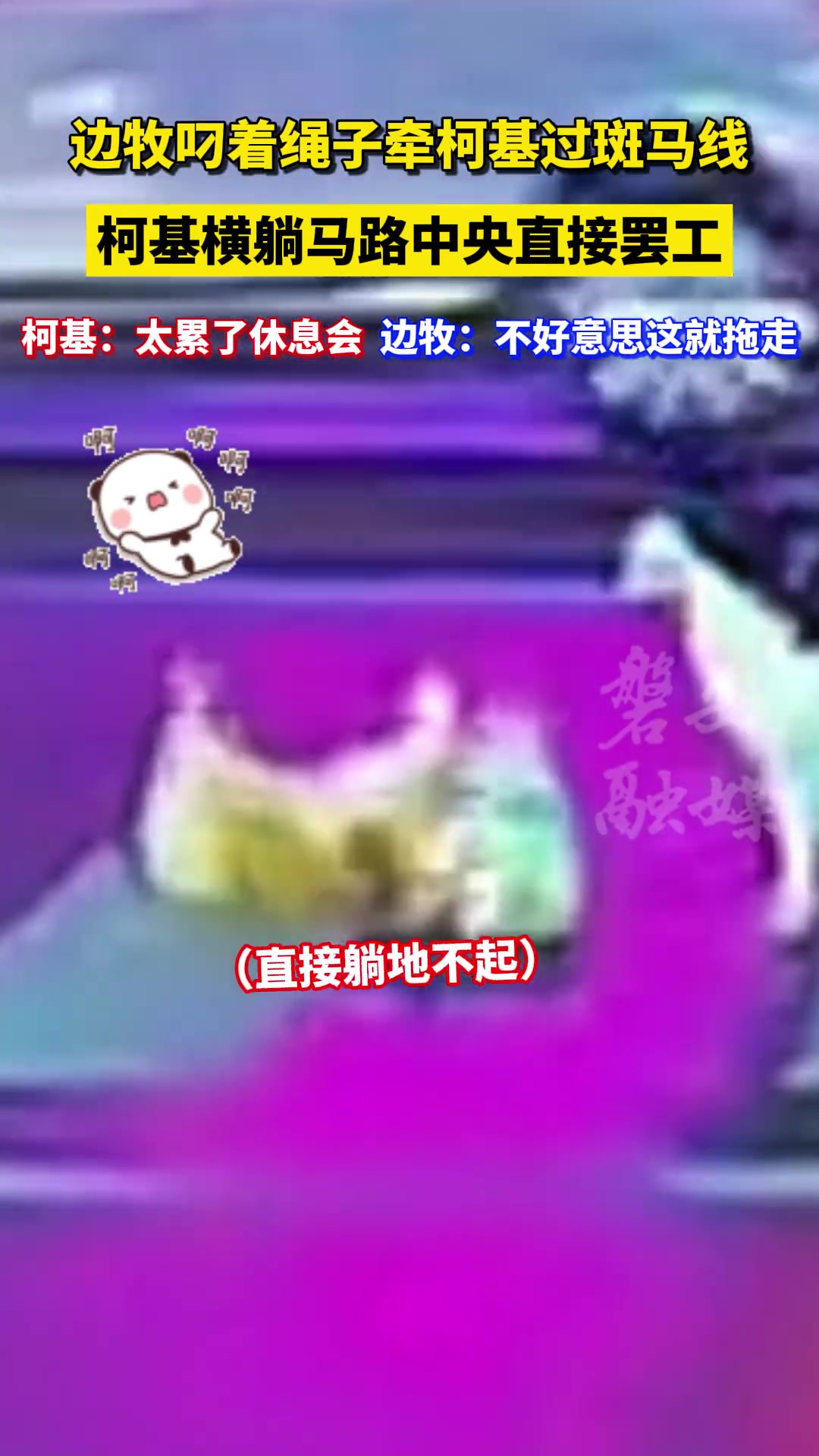 我应该是起猛了第一次遇到狗遛狗的