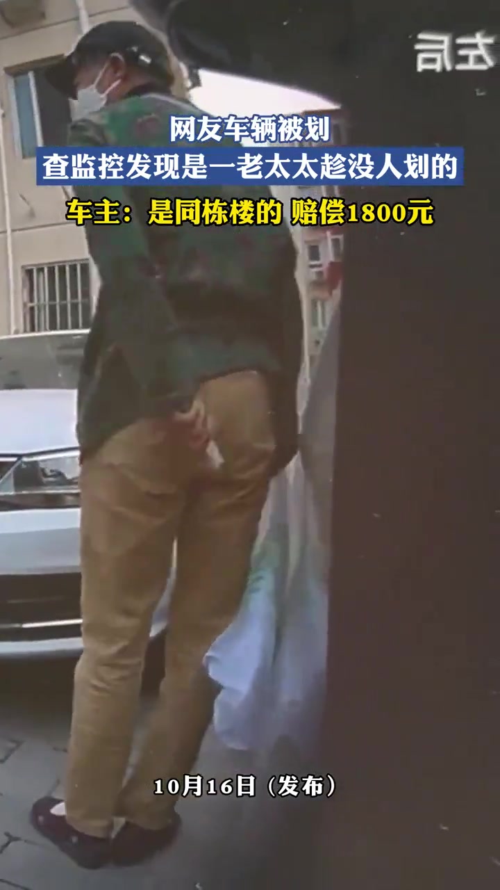 网友车辆被划，查监控发现是一老太太趁没人划的