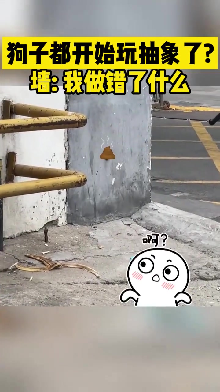 狗子都开始玩抽象了墙：我做错了什么