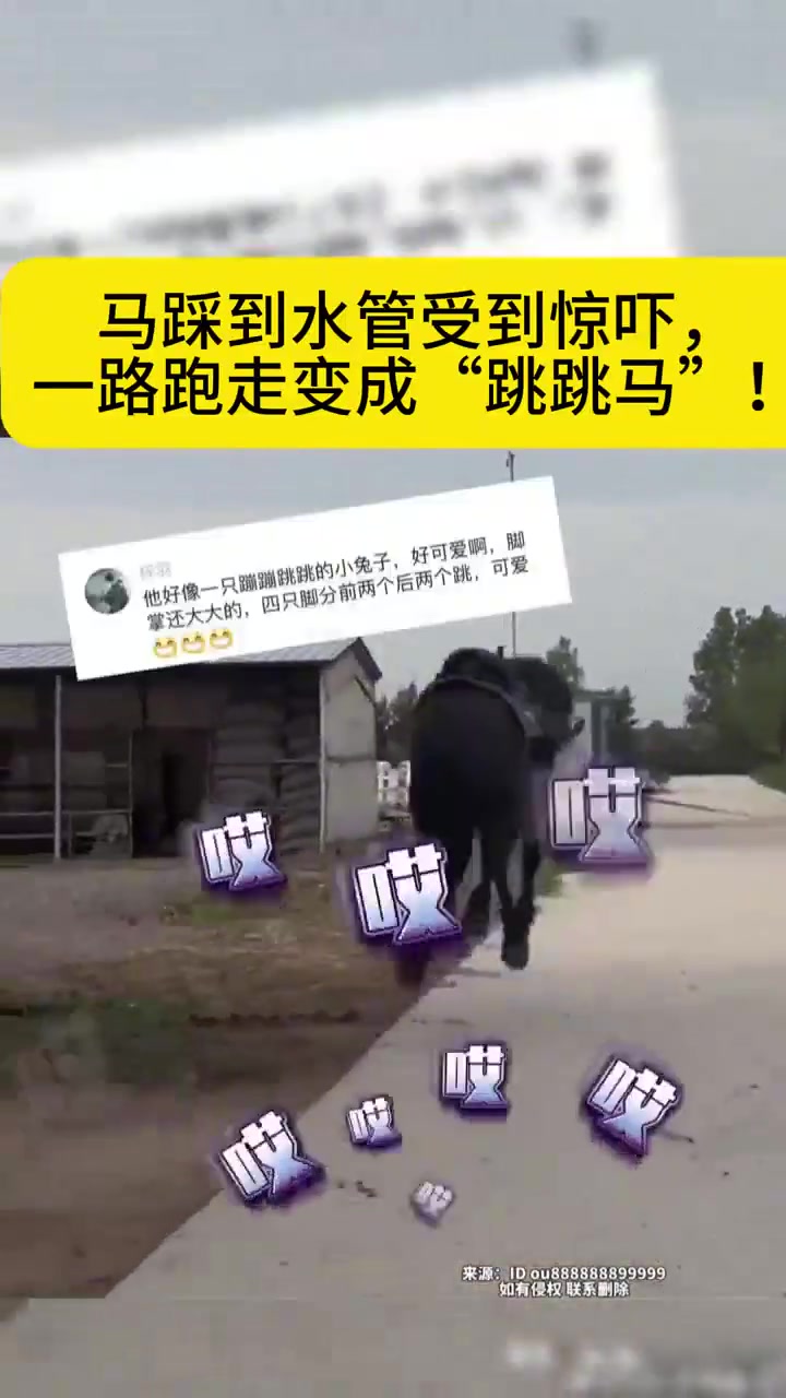 马踩到水管受到惊吓，一路跑走变成“跳跳马”