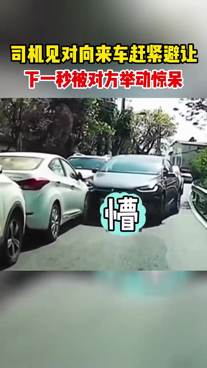 司机见对向来车赶紧避让，下一秒被对方举动惊呆！