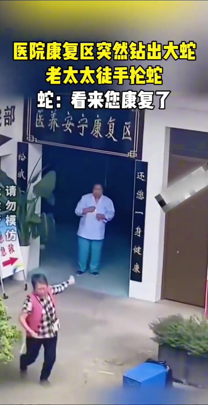 医院康复区突然钻出一条大蛇老太太徒手抓蛇尾抡胳膊“暴击”
