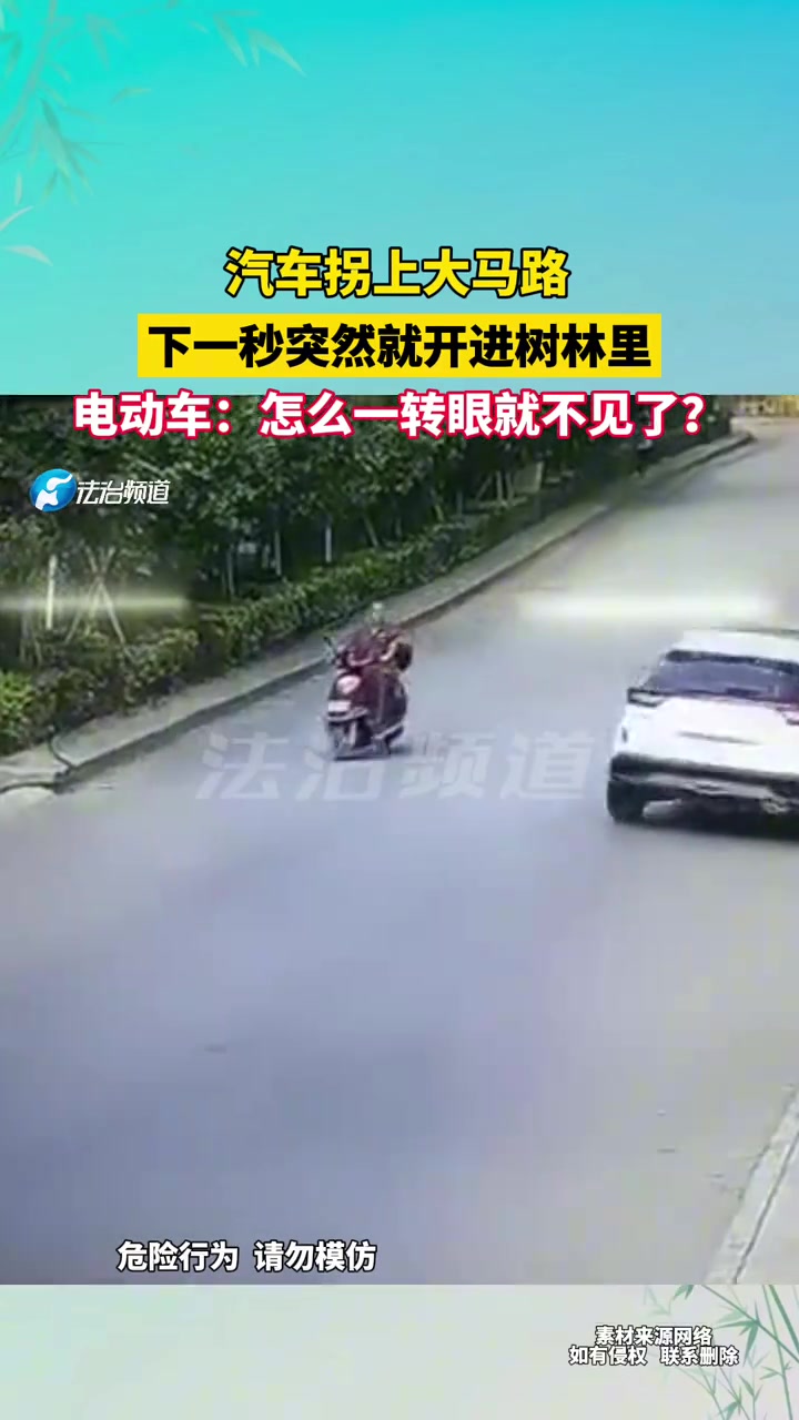 汽车拐上大马路，下一秒突然就开进树林里