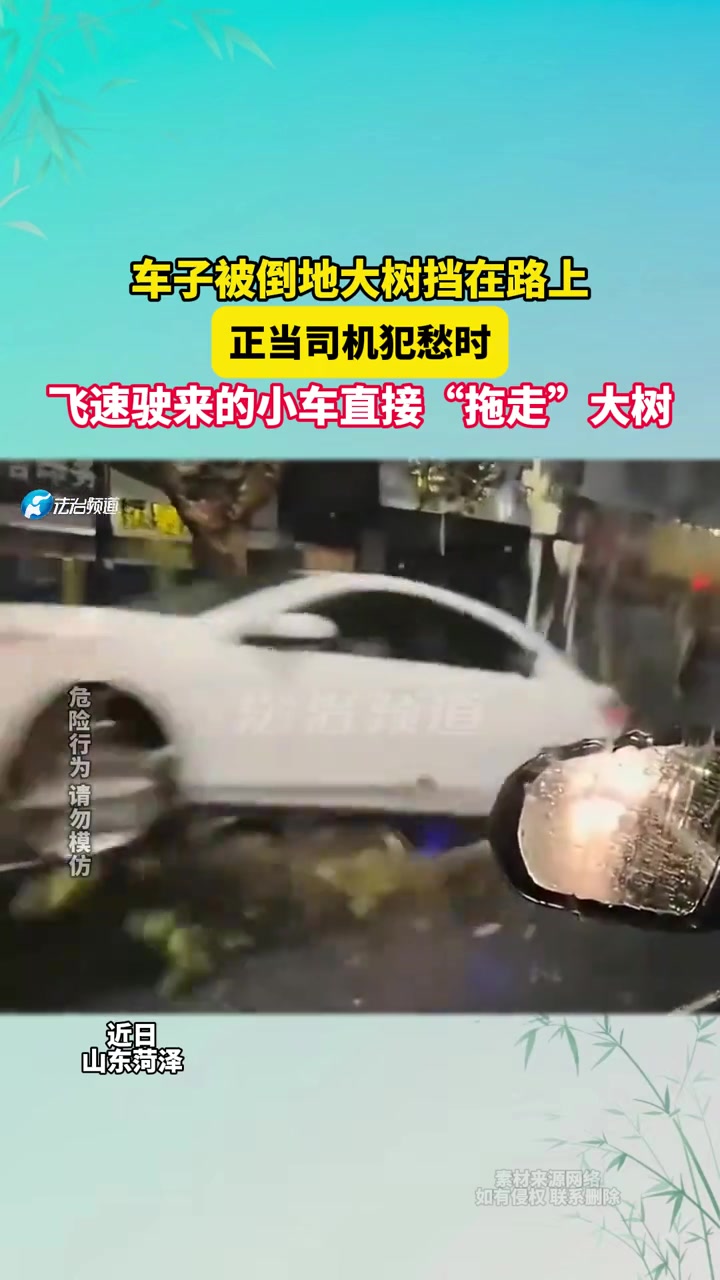 车子被倒地大树挡在路上，正当司机犯愁时，小车直接“拖走”大树