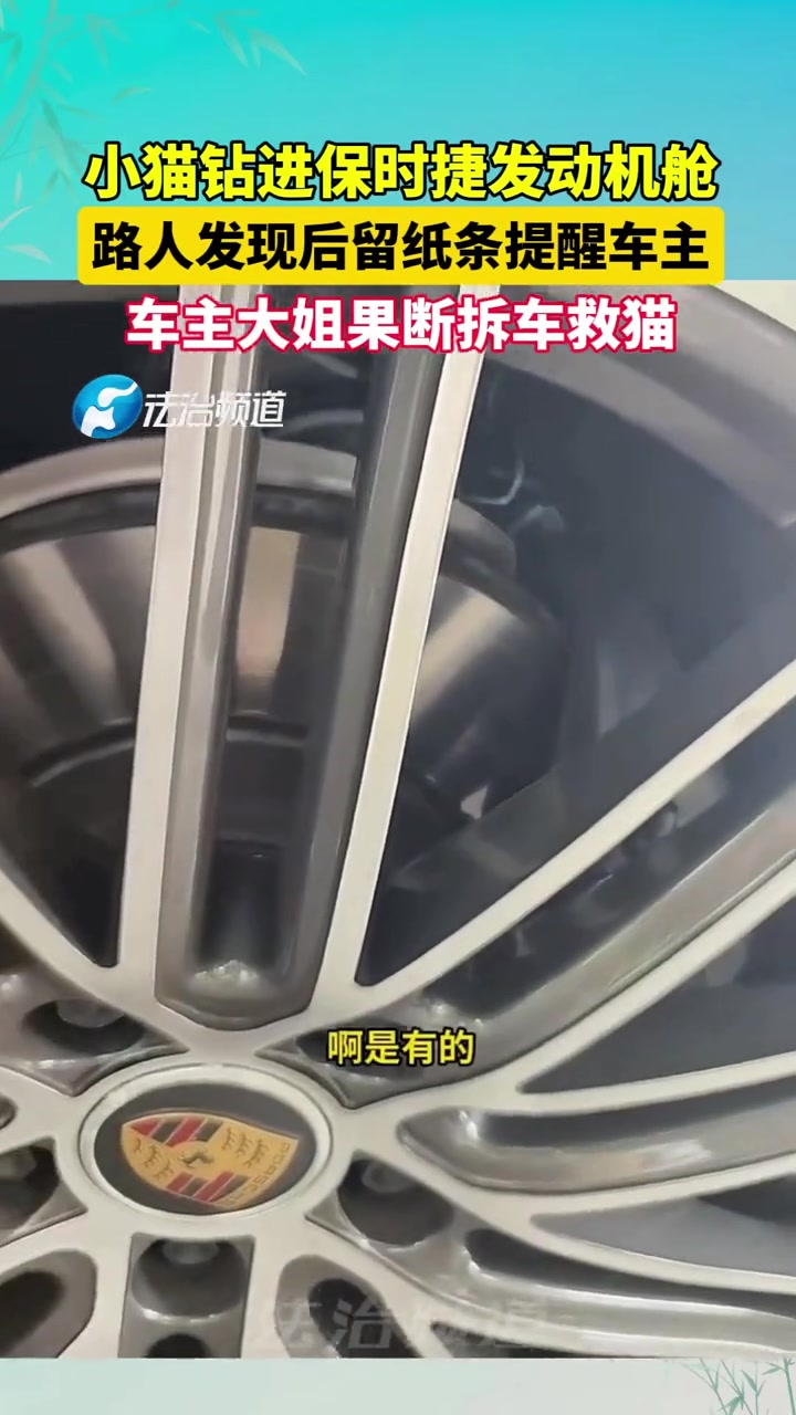 小猫钻进保时捷发动机舱，路人发现后留下纸条提醒车主