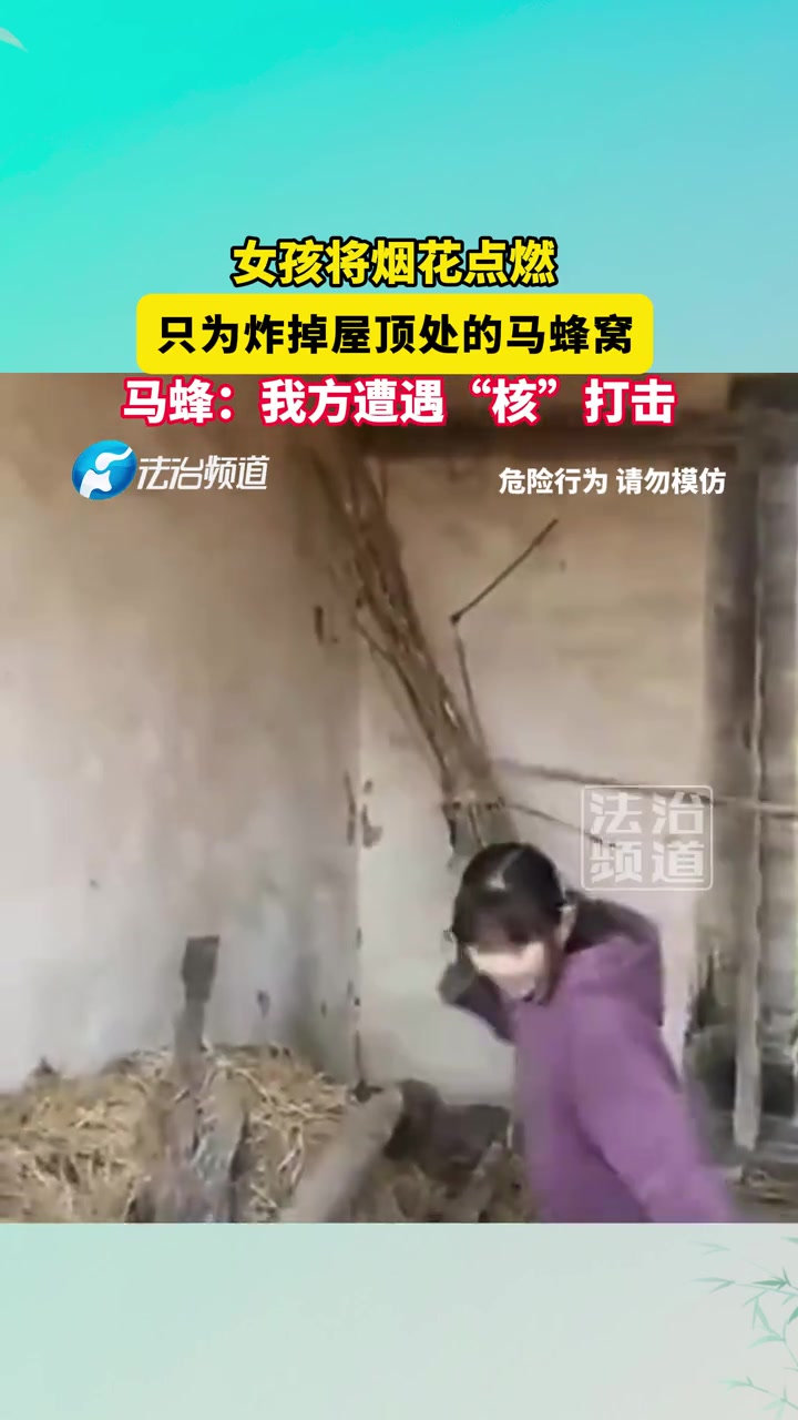 女孩将烟花点燃，只为炸掉屋顶处的马蜂窝！