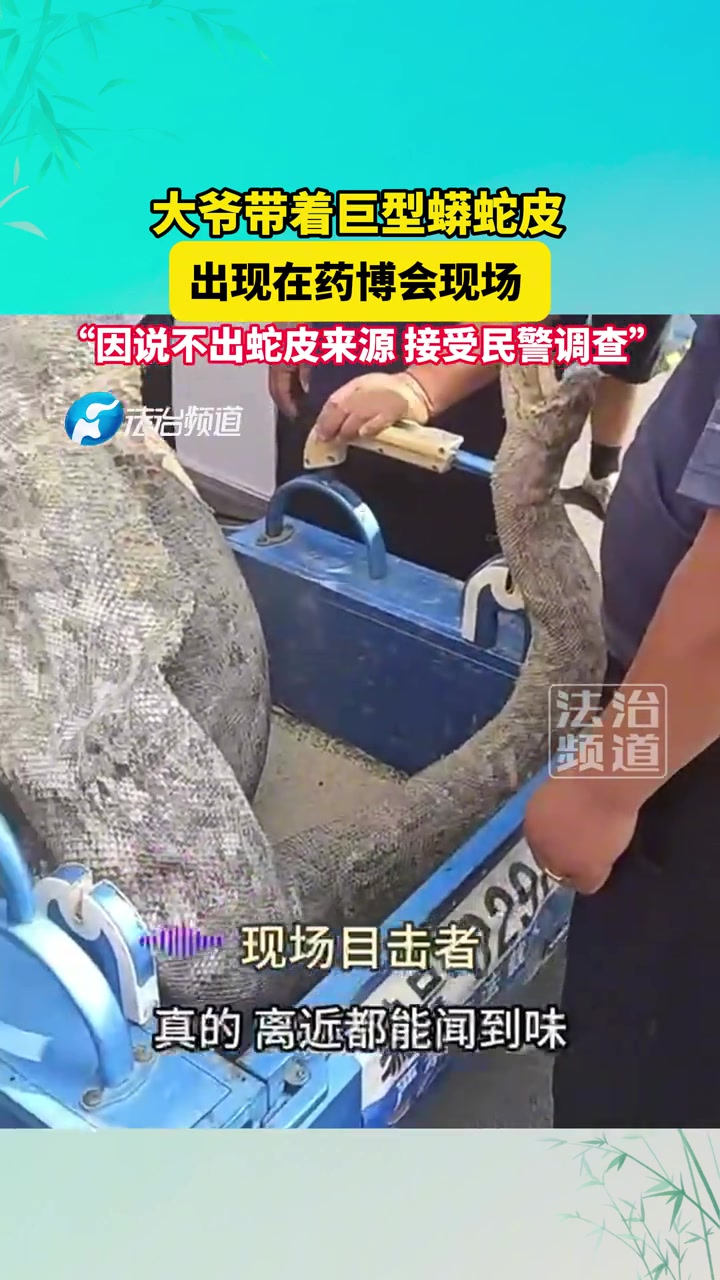 大爷带着巨型蟒蛇皮，出现在药博会现场