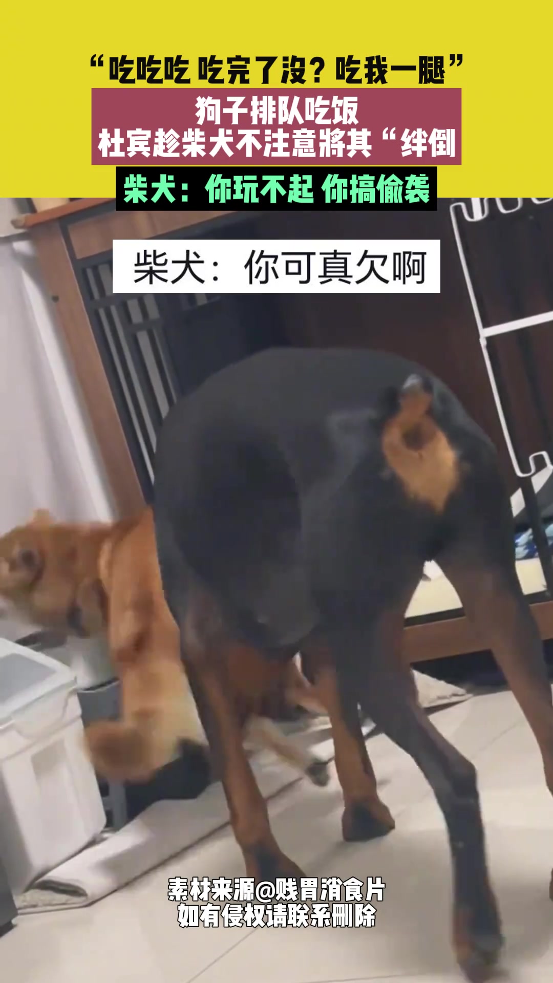 这品种压制力还需要偷袭啊