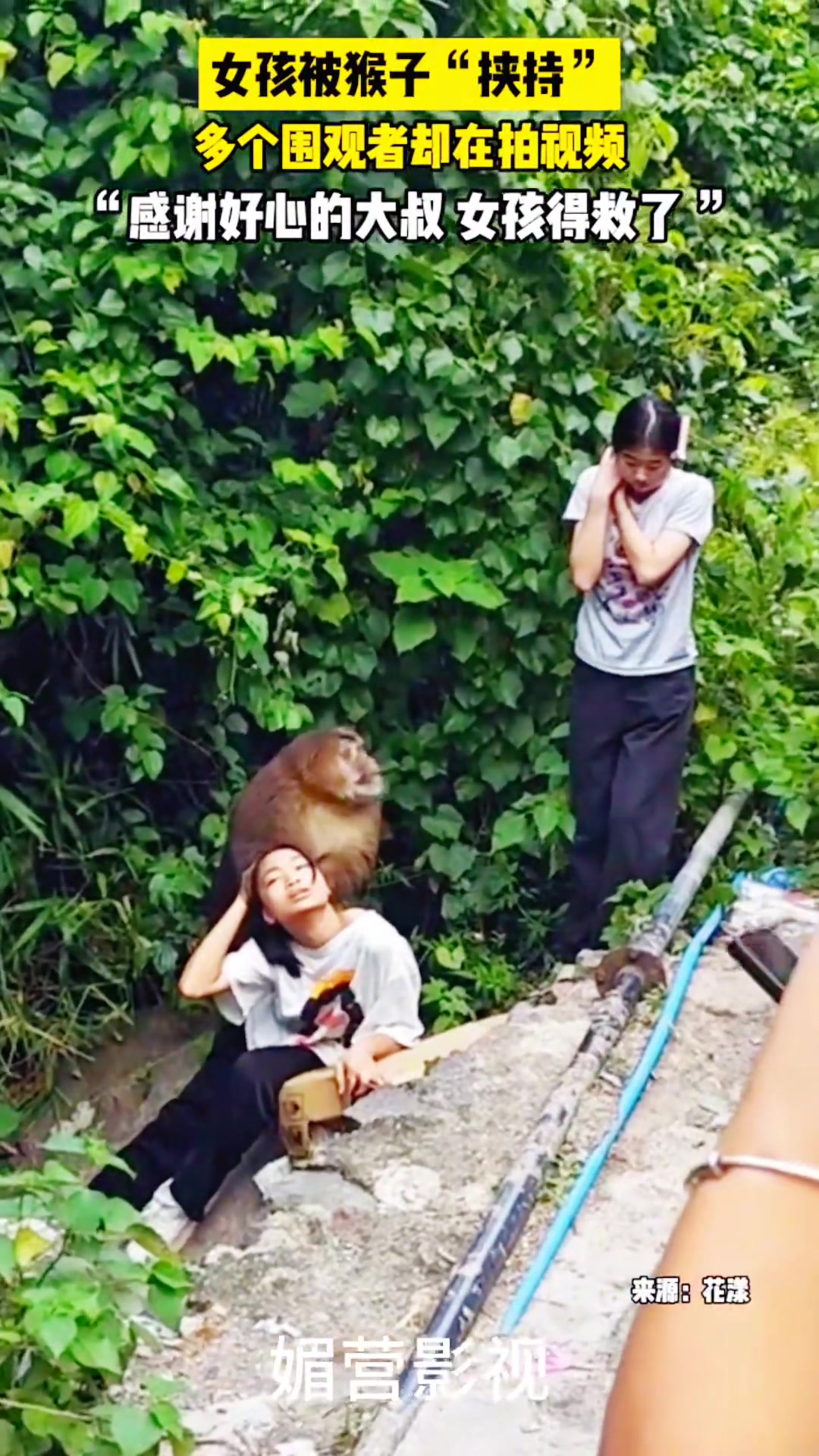 女孩被猴子“挟持”,感谢好心大叔出手解围
