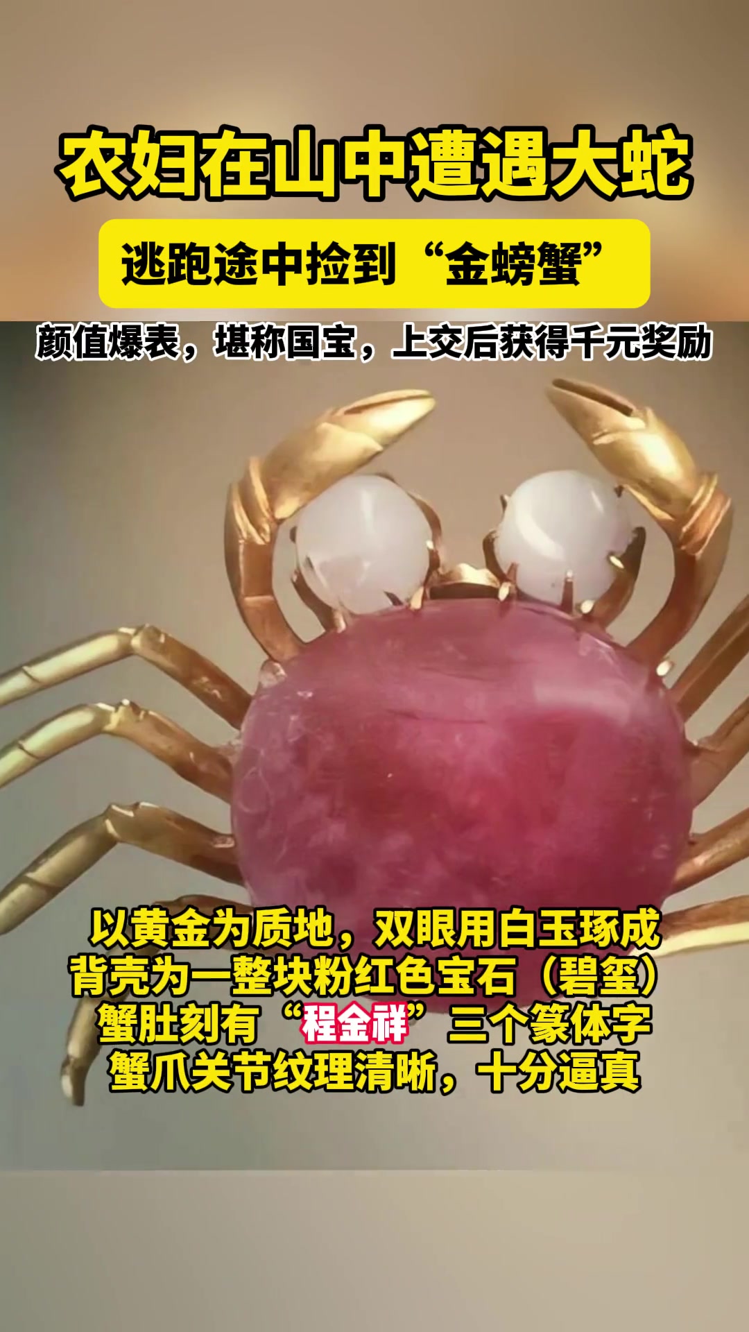 这只金螃蟹，颜值太赞了！！！