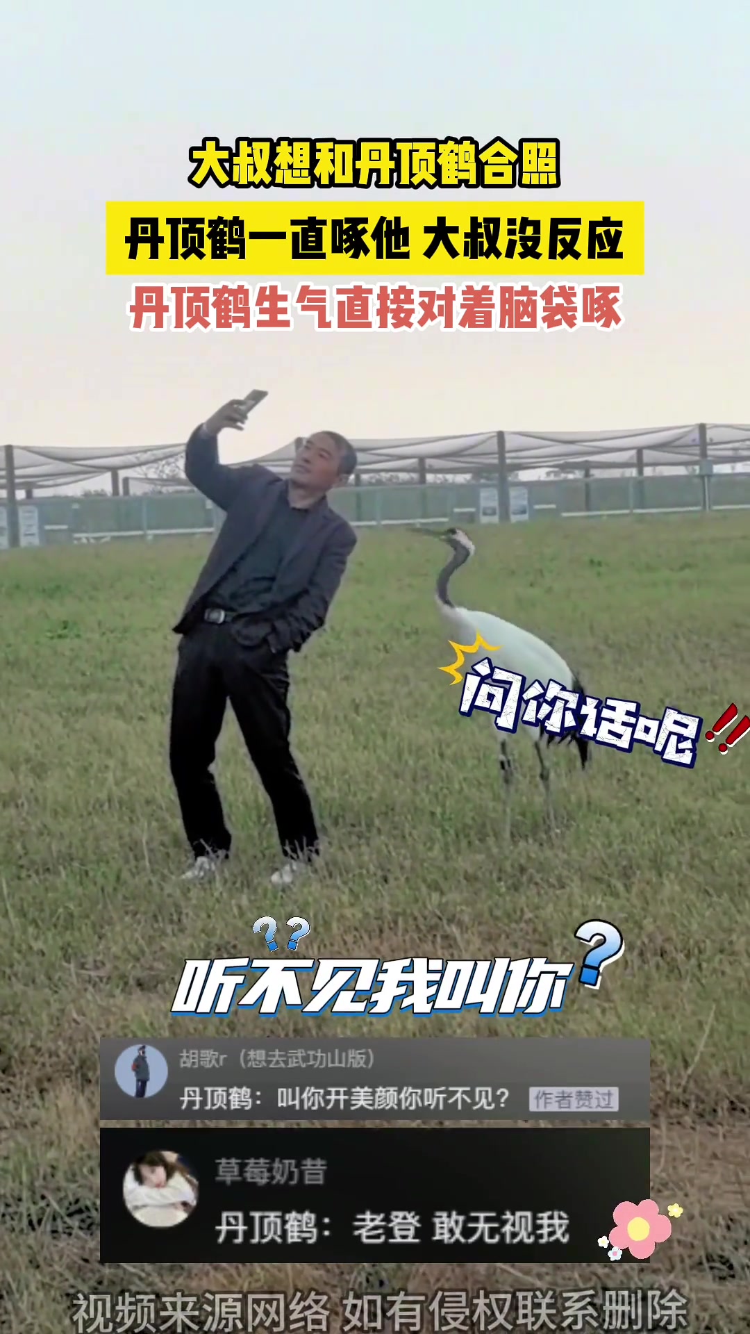 丹顶鹤说这人耳朵堵住了，给他掏掏