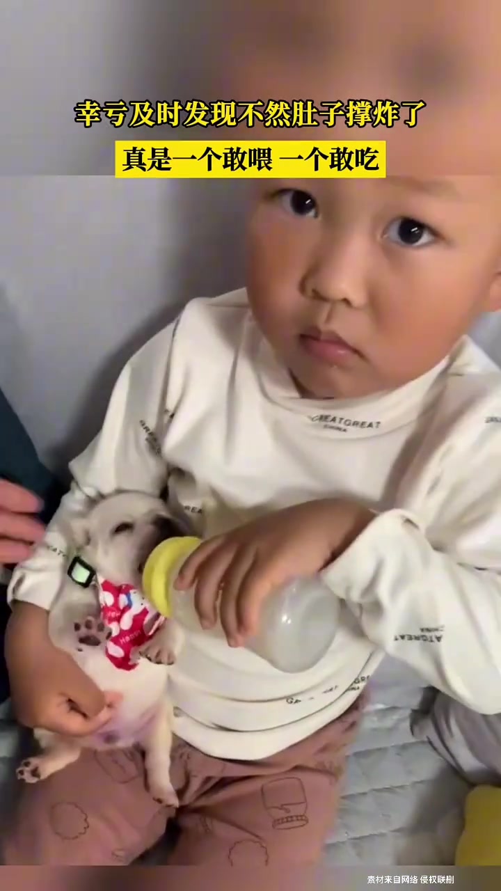 幸亏及时发现不然肚子撑炸了，真是一个敢喂一个敢吃