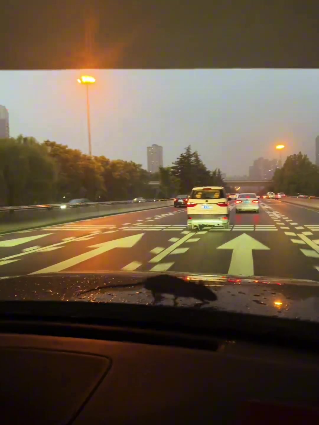 小老鼠能有什么坏心思无非想搭你的顺风车