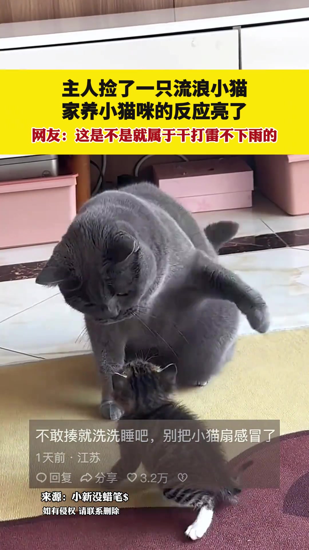 蓝胖子：你别过来啊再过来我打你啊！