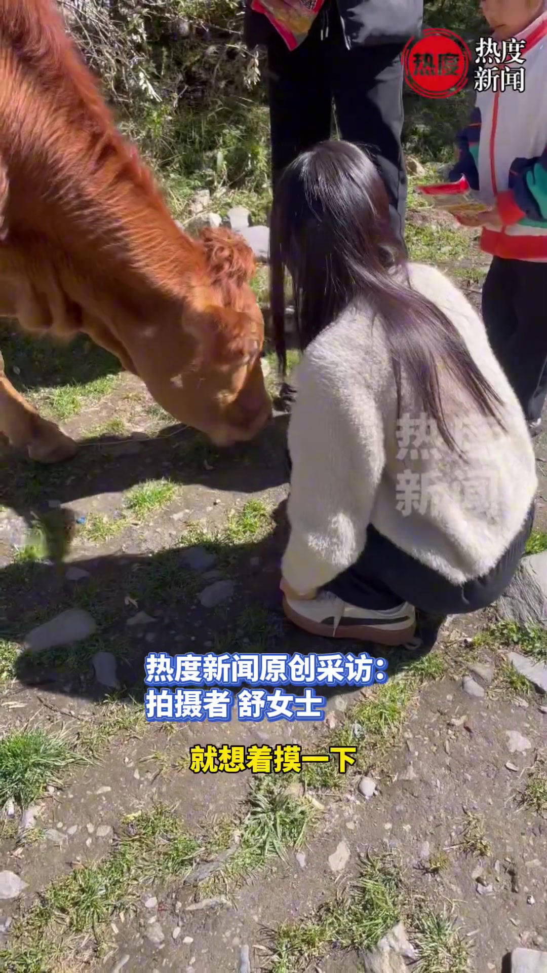 女子外出旅游看到一头牛，拿薯片喂食时突然被牛顶飞！