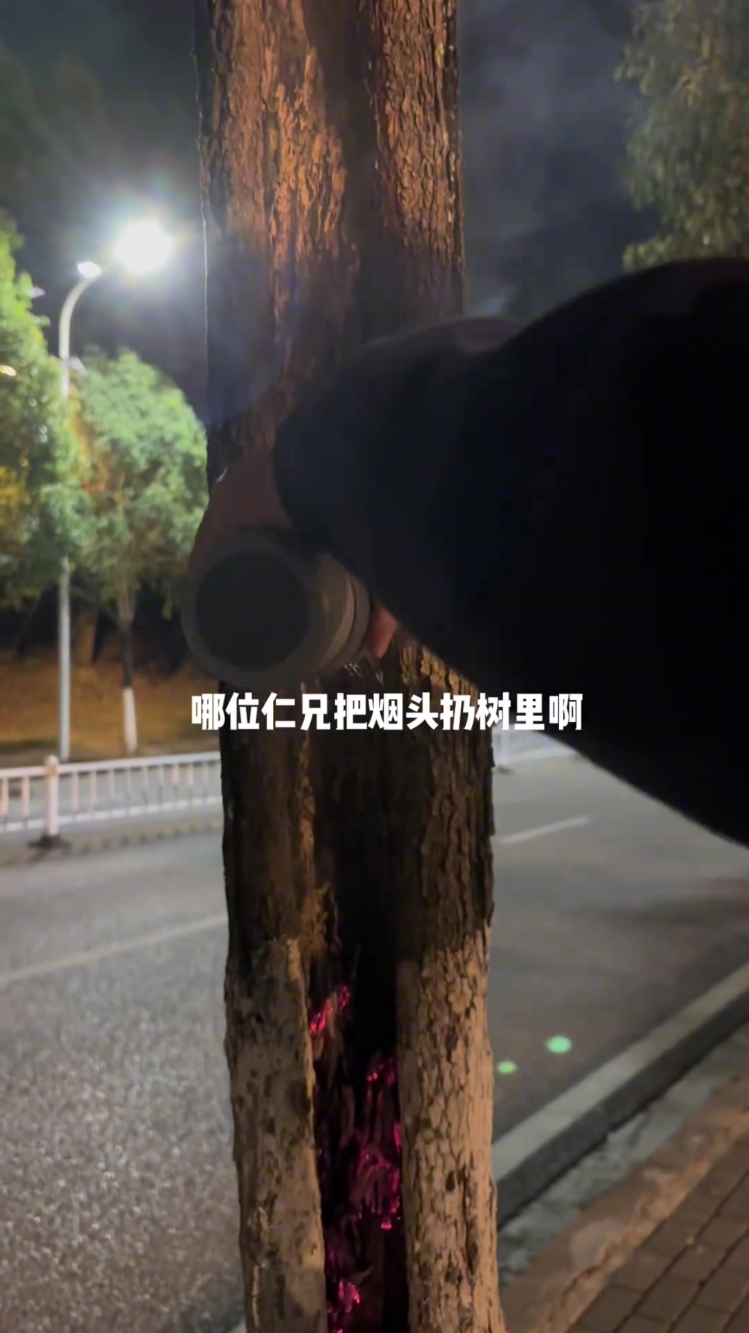 第一眼：哇好神奇的树第二眼：靠快去买水救树