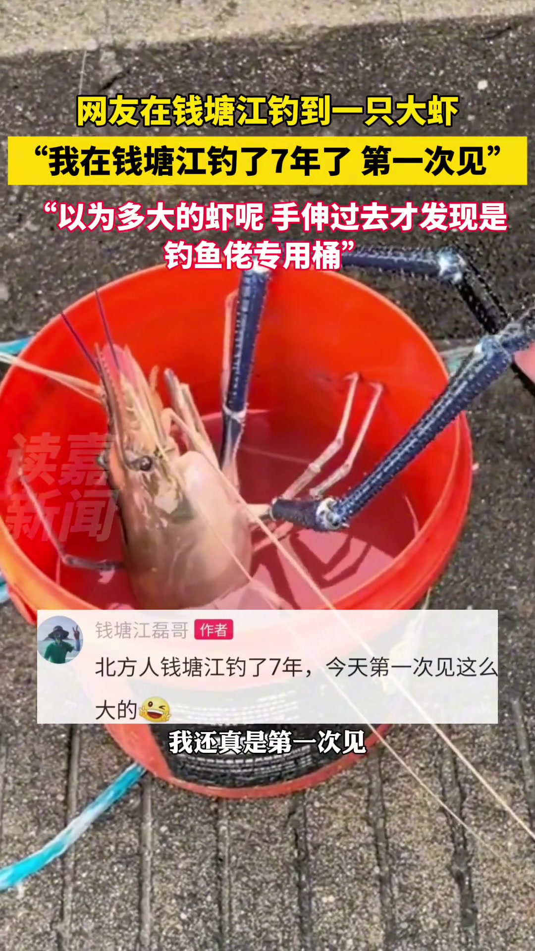 网友：我以为多大的虾呢，手伸过去才发现是钓鱼佬专用桶