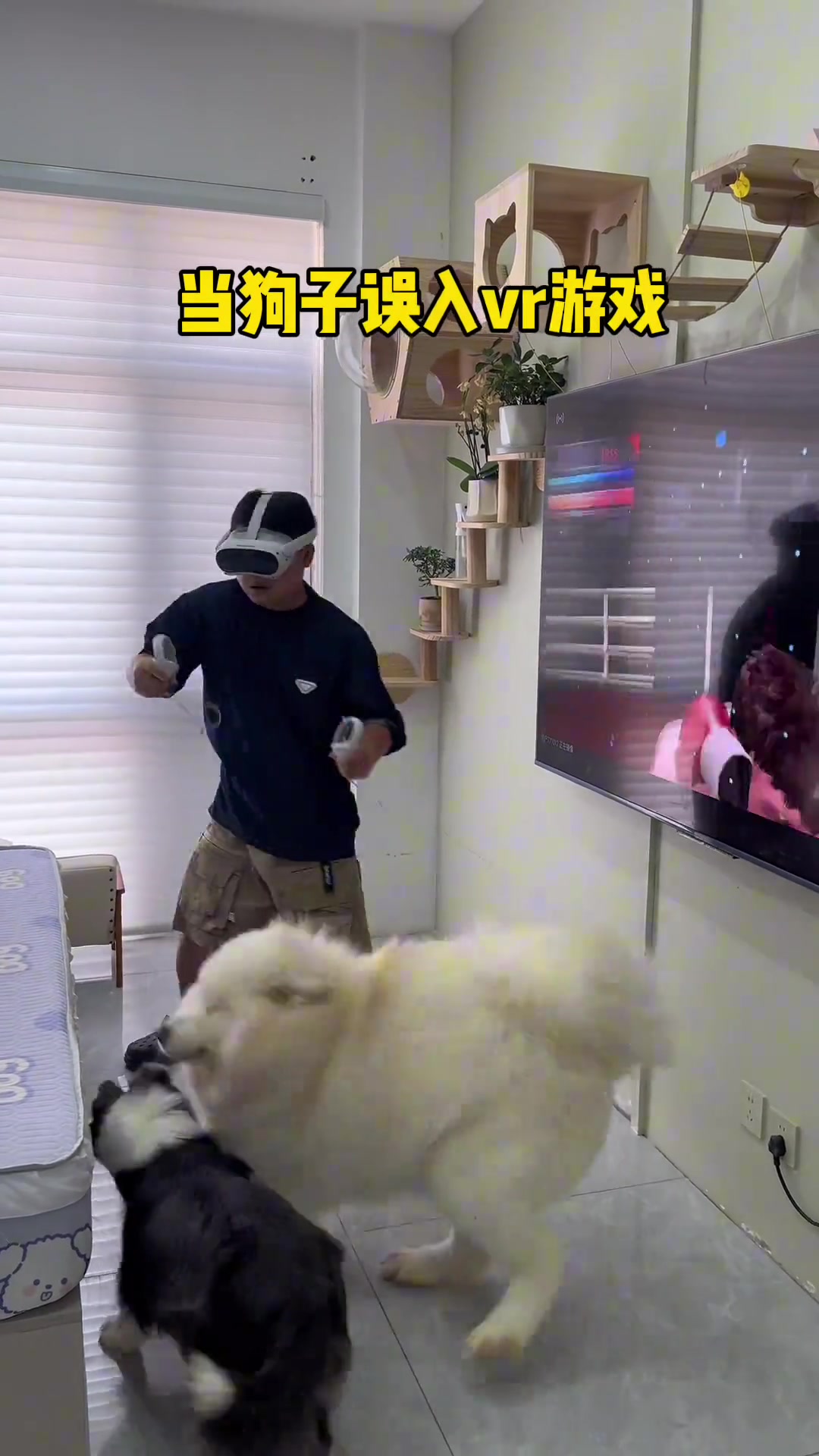 大白：等我戴上这眼镜看我咋咬你