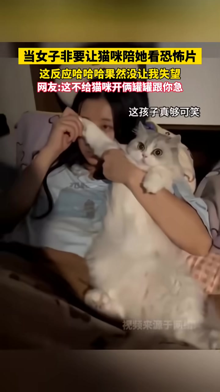 猫猫：没有一口猫粮是白吃的！我为这个家付出了太多！