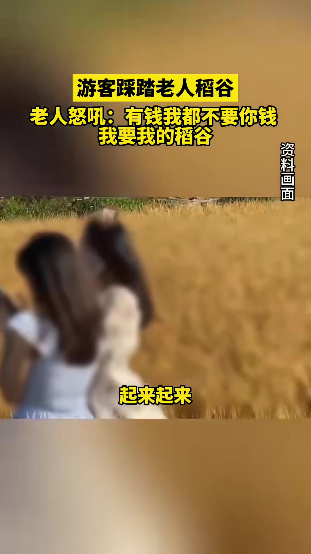 老人从小到大都依靠着这片田地长大，看到这种情况确实会难受
