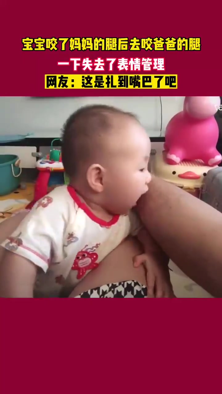宝宝咬了妈妈的腿后去咬爸爸的腿，一下子失去了表情管理