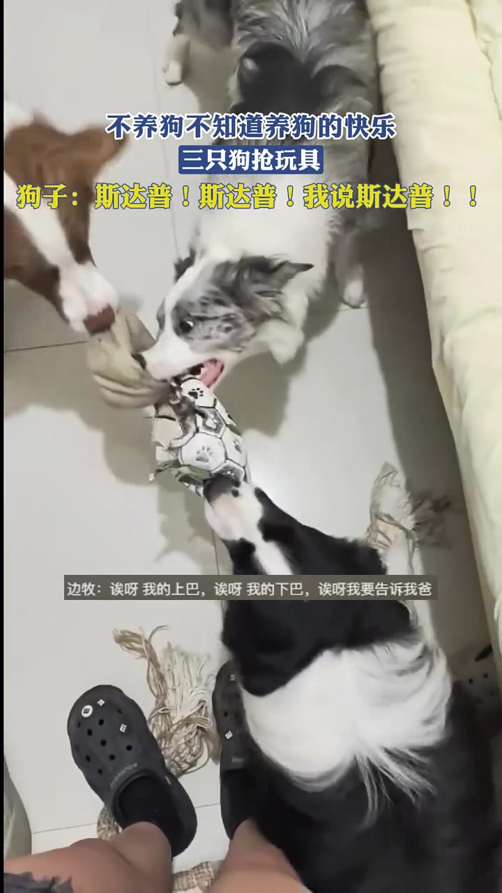 是我就房间一进门一关直接开始摆烂模式