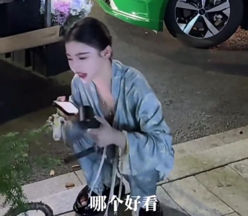 老哥们知道这个绿色的车是什么吗！