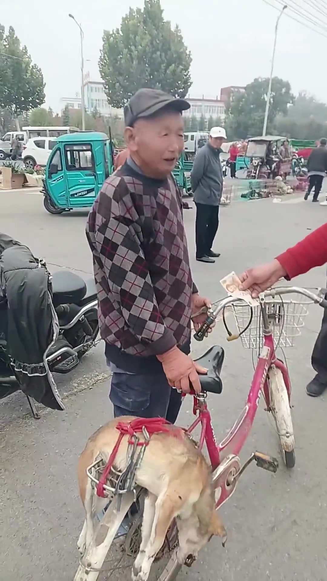 狗狗被车撞伤，直接被带去集市上二十块钱给卖了！
