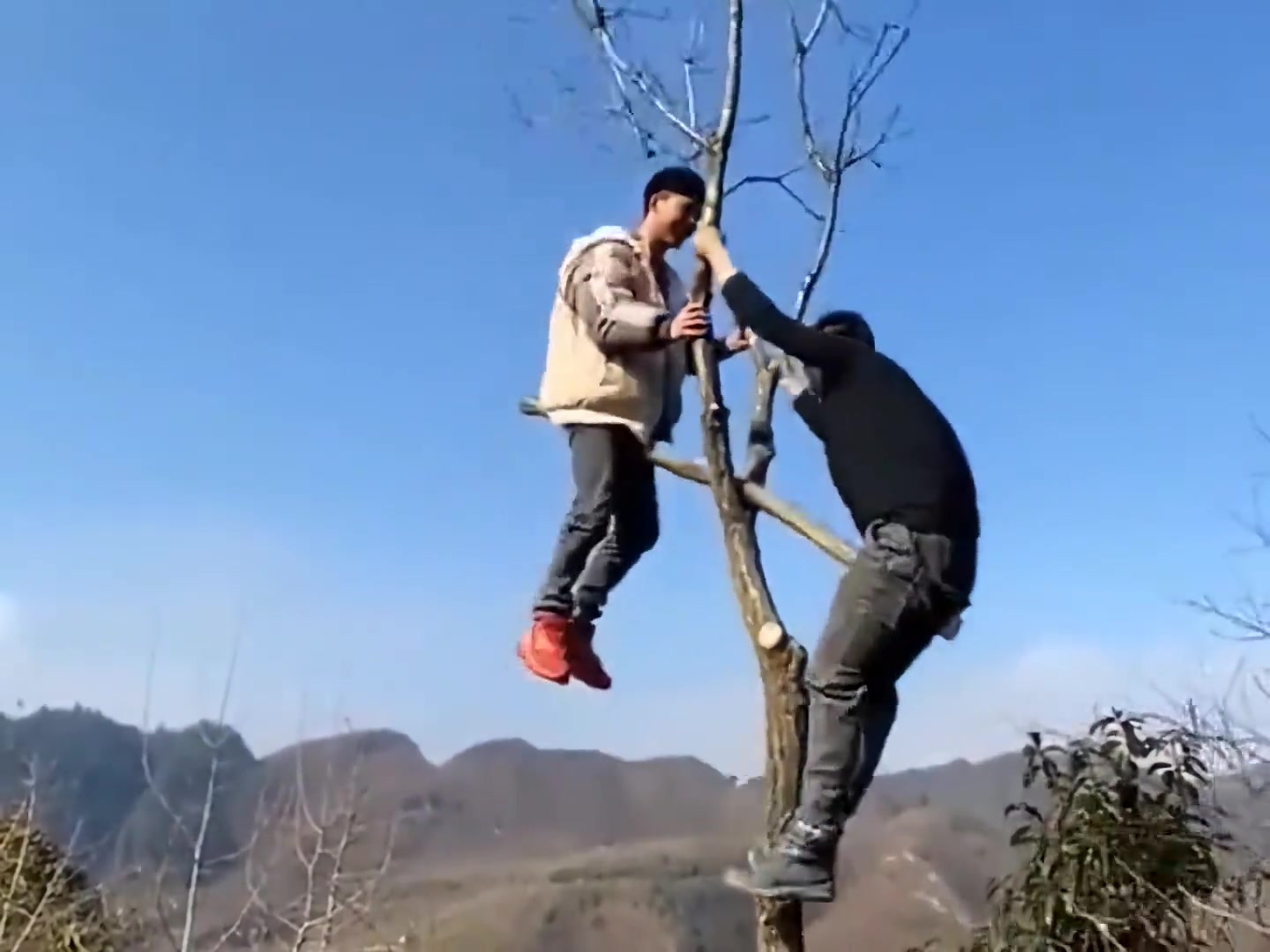 我在等棍子断你们在等什么