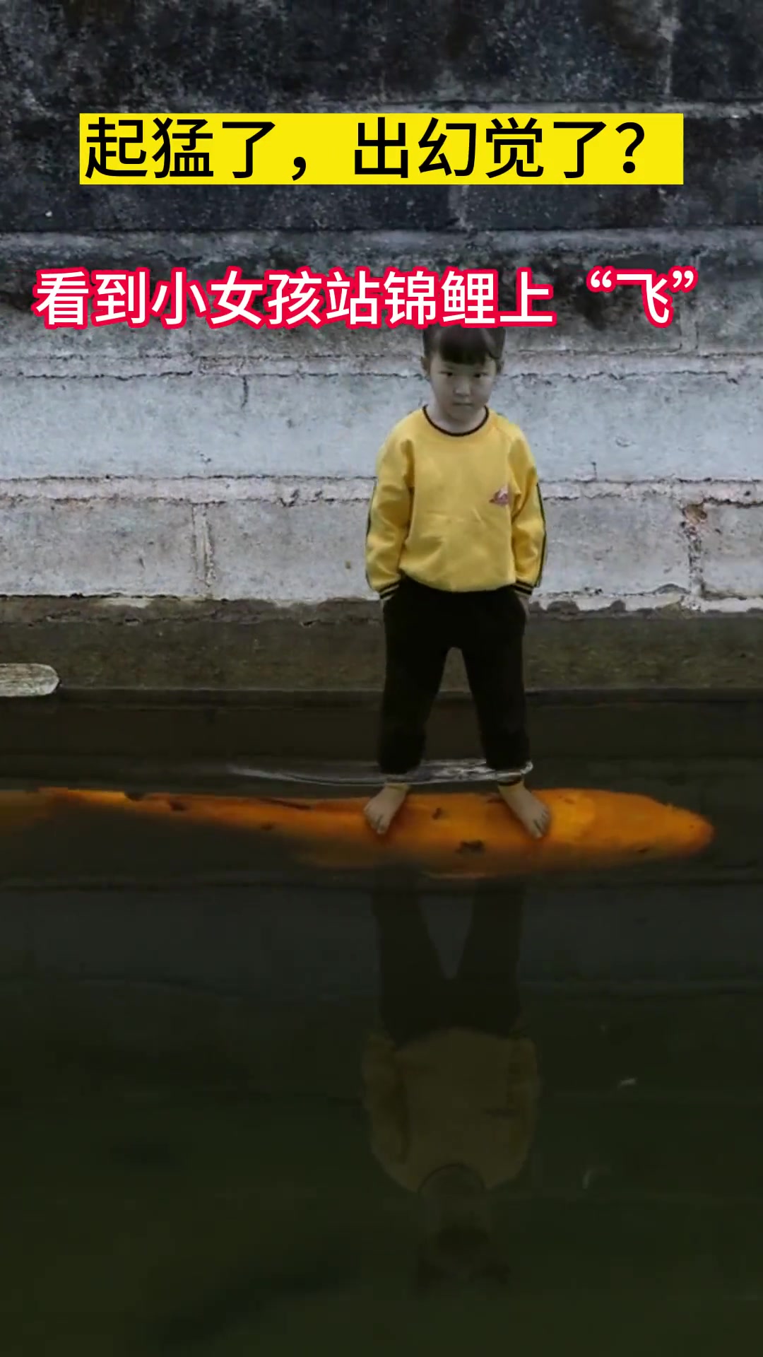 我出幻觉了吗怎么看见小仙女踩着大锦鲤在飞呢