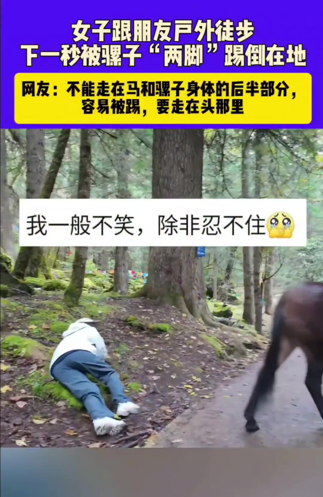 女子跟朋友户外徒步，下一秒被骡子踢到在地