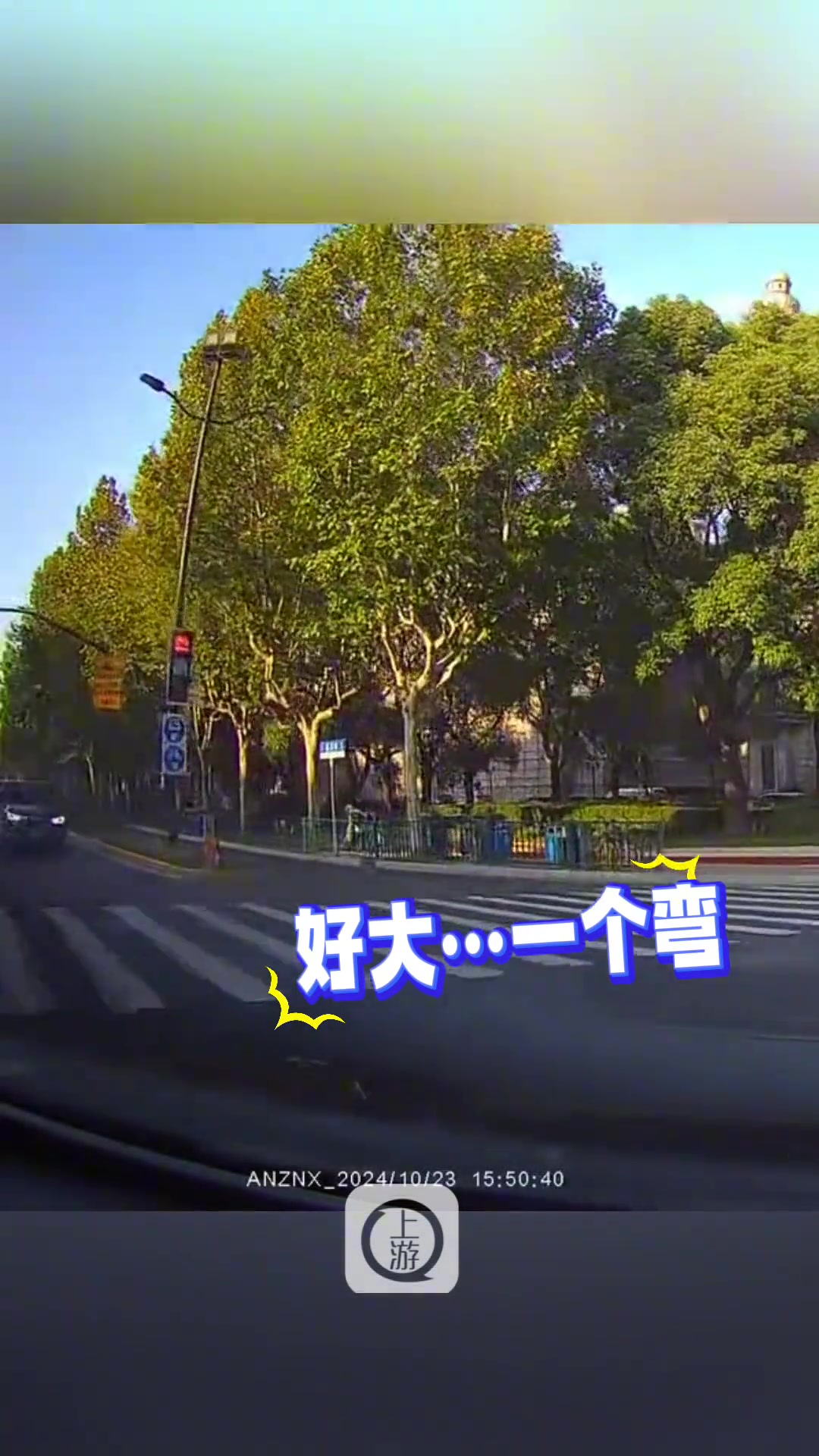 小车左拐遇逆行宝马等红灯车主瞬间蒙圈开始怀疑自己