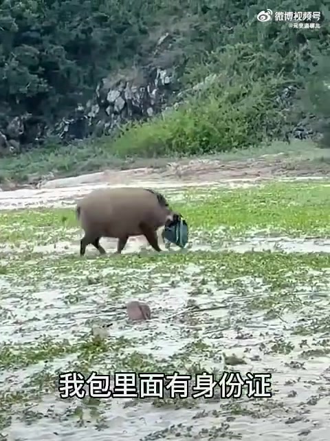 你把我的包还给我！！！