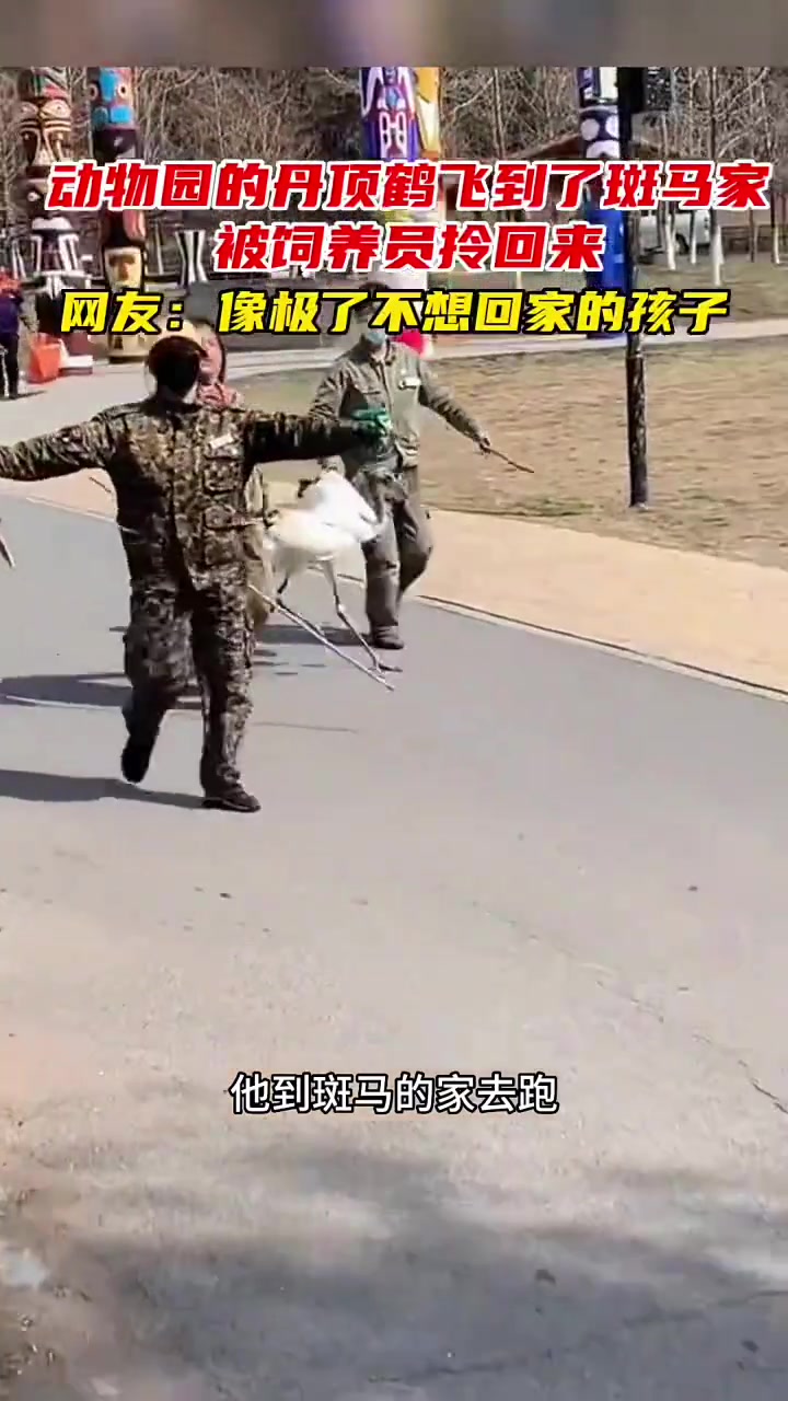 怎么像小时候去别人家不回来被拎回家的感觉