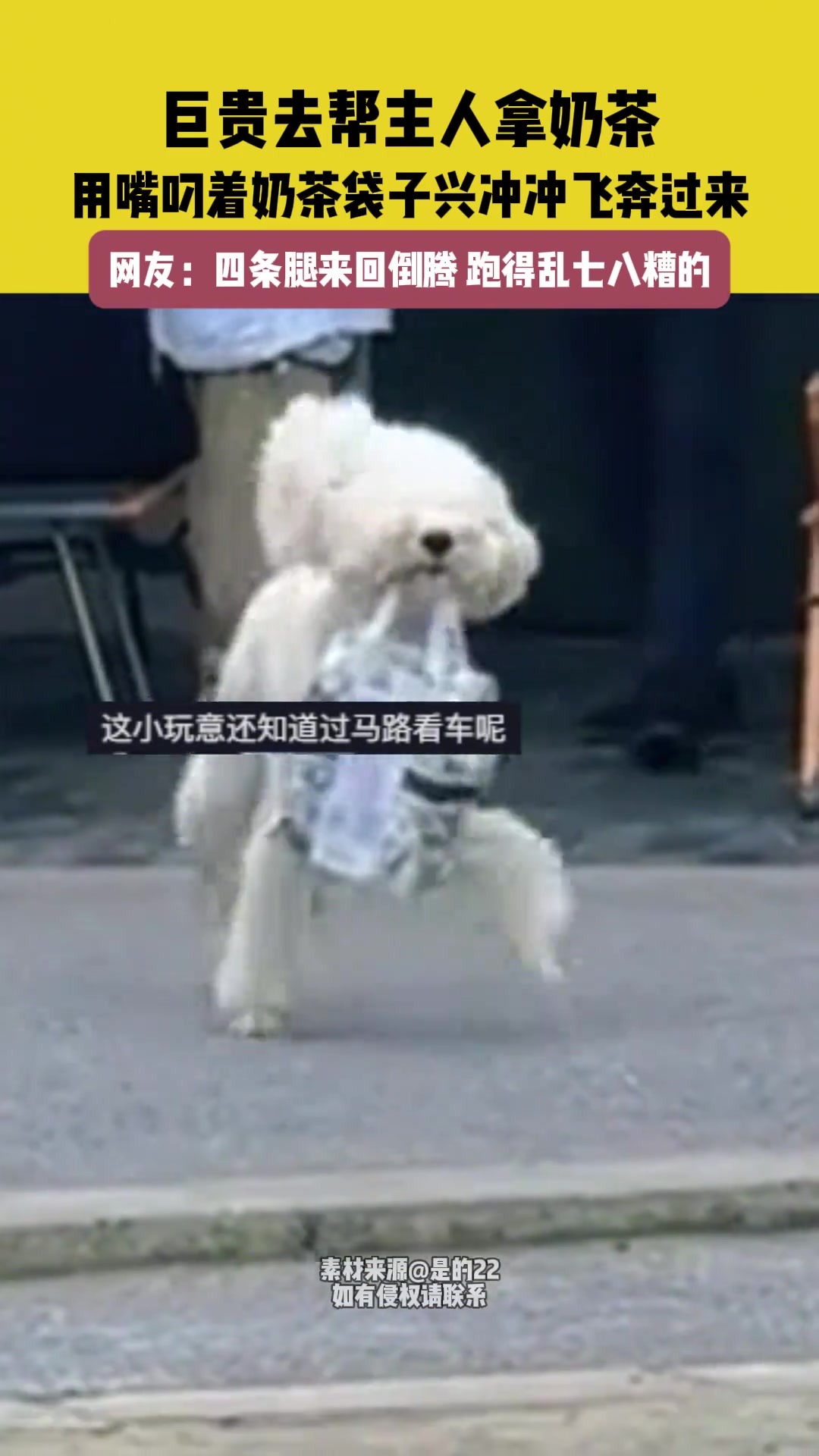 四条腿来回倒腾，跑的乱七八糟的