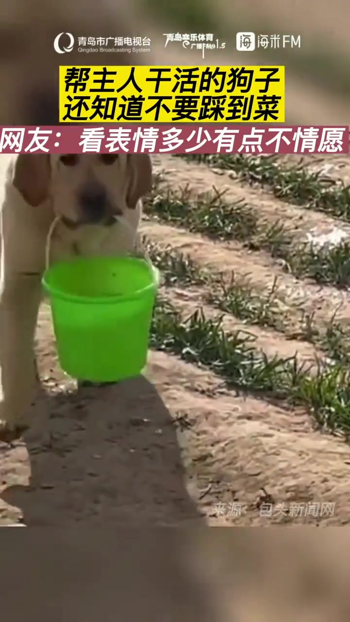看这表情多少有点不愿意